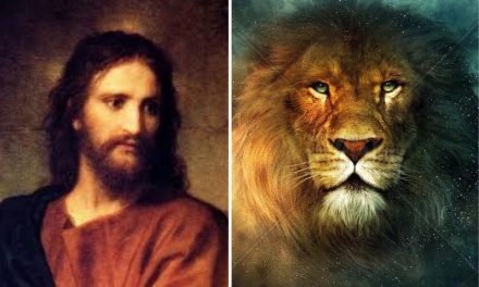 “Osate stare soli”: cosa ci insegnano “Le Cronache di Narnia” sul coraggio di condividere il Vangelo